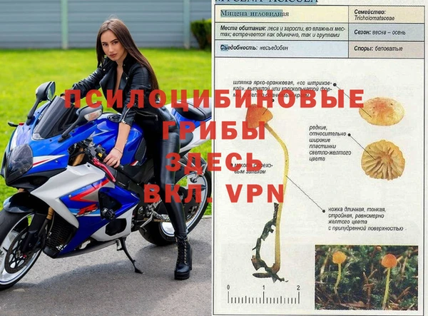 прущая мука Пролетарск