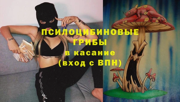 соль ск Приозерск