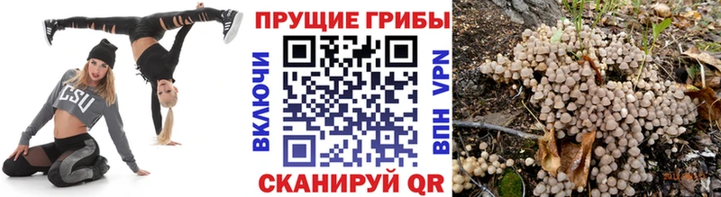 Псилоцибиновые грибы мухоморы Адыгейск